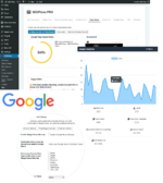 pro-feature-google.png
