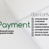 X-Payment (Custom Payment Method)